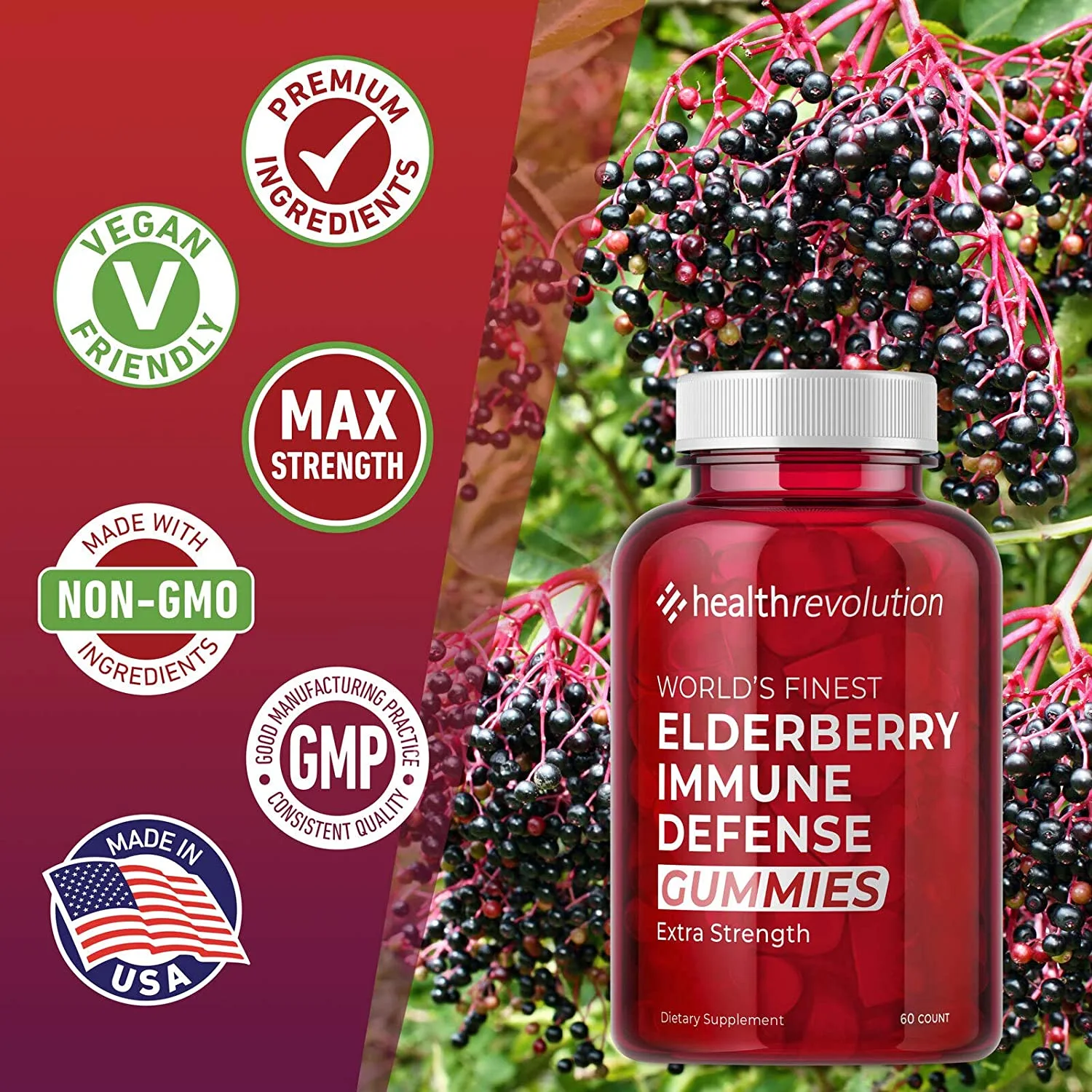 elderberrygu2